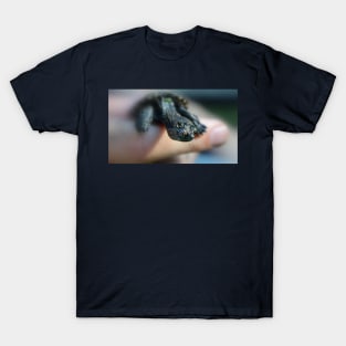 Baby Snapping Turtle T-Shirt